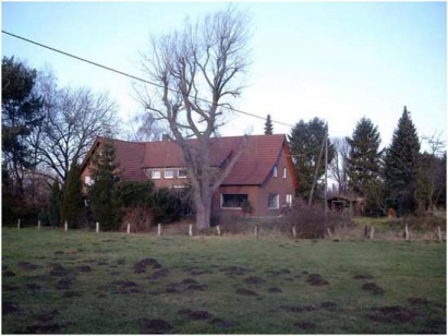 Anno 2003